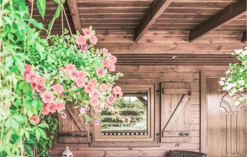 Outdoor Pictures 20