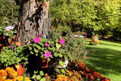 Outdoor Pictures 8