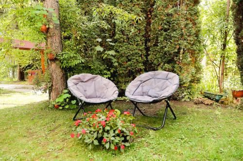 Outdoor Pictures 9