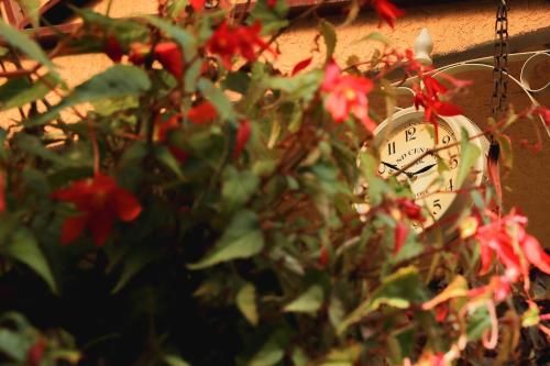 Outdoor Pictures 12