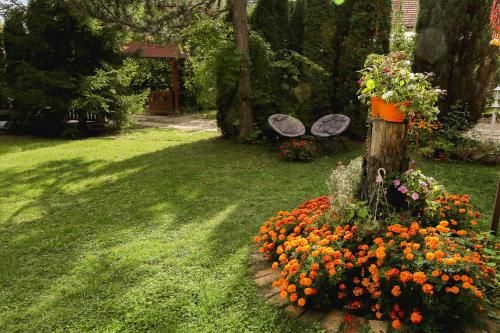 Outdoor Pictures 16