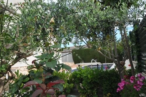 Outdoor Pictures 15