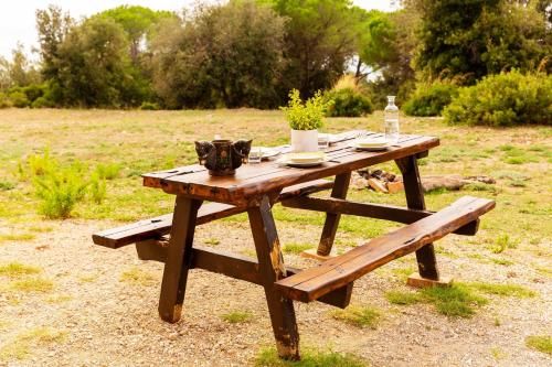 Outdoor Pictures 24