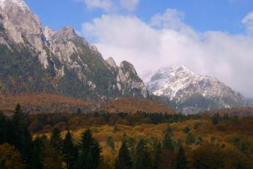 Outdoor Pictures 1