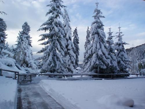 Outdoor Pictures 8
