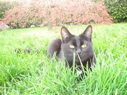 Outdoor Pictures 3