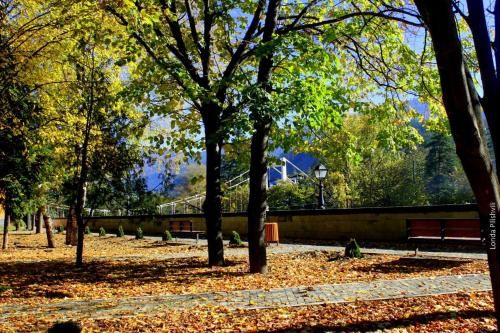 Outdoor Pictures 11