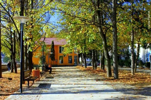 Outdoor Pictures 12