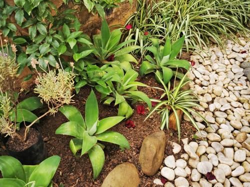 Outdoor Pictures 7