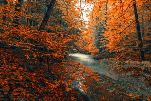Outdoor Pictures 16