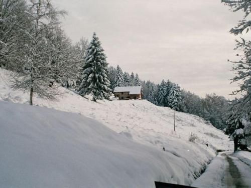 Outdoor Pictures 20