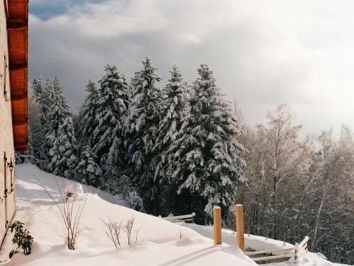 Outdoor Pictures 24