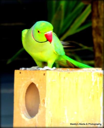 Outdoor Pictures 2