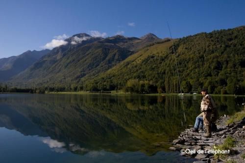 Outdoor Pictures 13