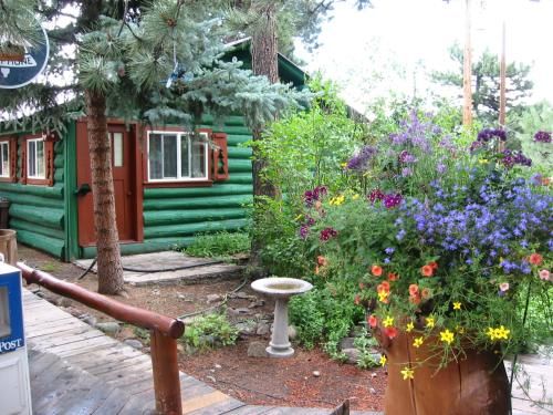 Outdoor Pictures 1