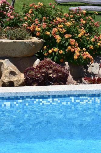 Outdoor Pictures 9
