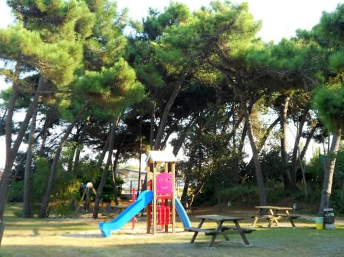 Outdoor Pictures 23