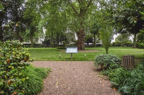 Outdoor Pictures 15
