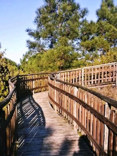 Outdoor Pictures 16