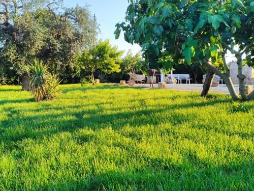 Outdoor Pictures 13