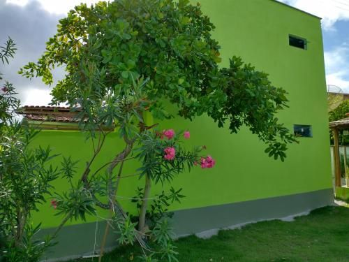 Outdoor Pictures 7