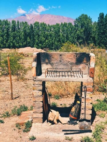 Outdoor Pictures 7