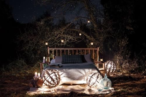 Outdoor Pictures 1