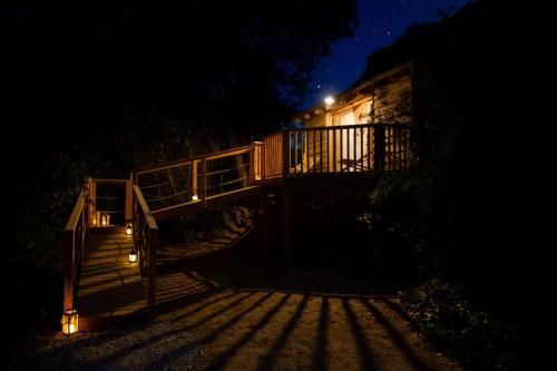 Outdoor Pictures 24