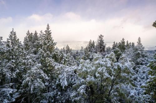 Outdoor Pictures 20