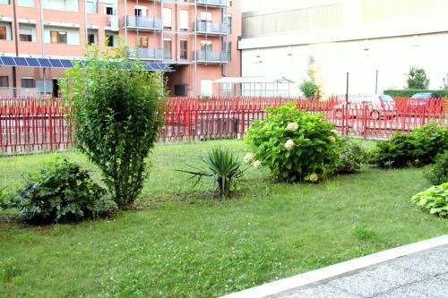 Outdoor Pictures 11