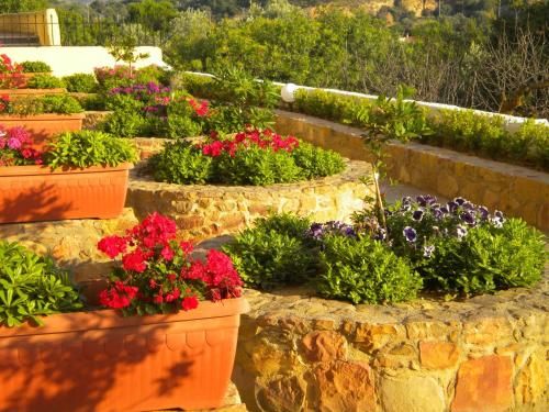 Outdoor Pictures 9