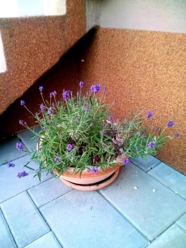 Outdoor Pictures 5