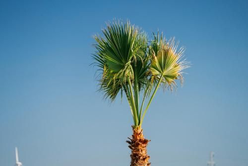Outdoor Pictures 10