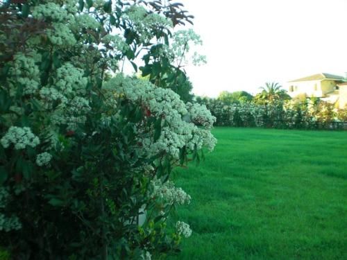 Outdoor Pictures 11