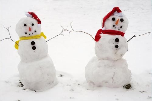 Outdoor Pictures 20