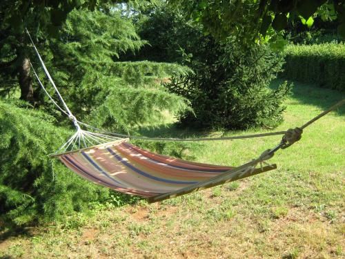 Outdoor Pictures 4