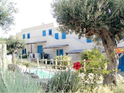 Apartment- Bilocale
