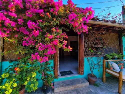 Outdoor Pictures 7