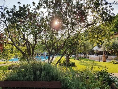 Outdoor Pictures 24
