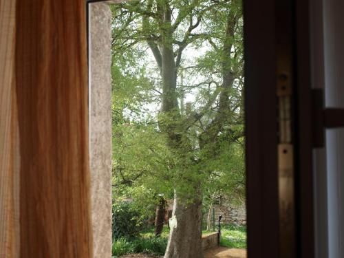 Outdoor Pictures 19