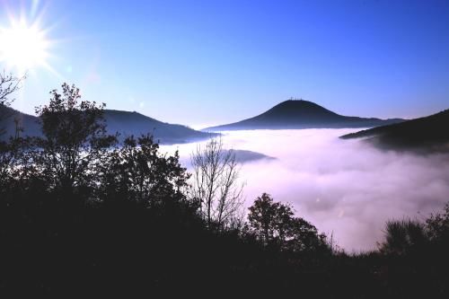 Outdoor Pictures 15