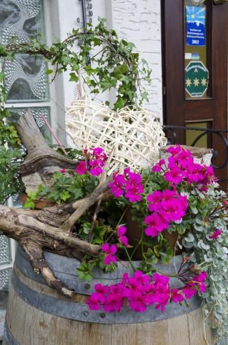 Outdoor Pictures 9