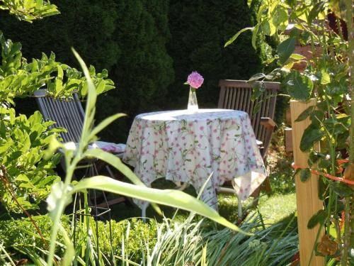 Outdoor Pictures 3