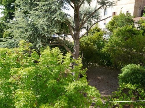 Outdoor Pictures 8