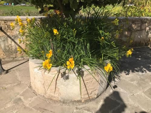 Outdoor Pictures 3