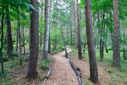 Outdoor Pictures 24