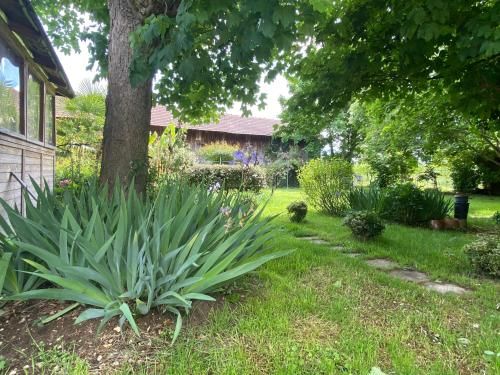Outdoor Pictures 17