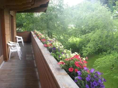 Outdoor Pictures 7