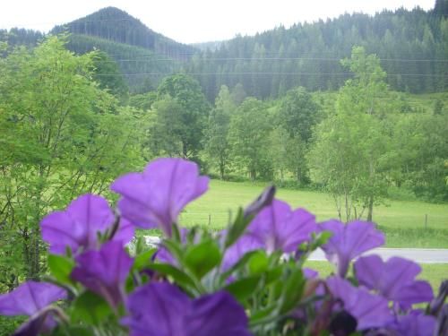 Outdoor Pictures 8