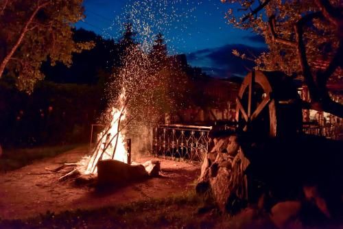 Outdoor Pictures 19